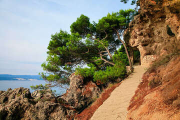 Medići - cestička na pláž, Omišská riviéra, Chorvatsko