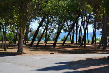 Kaštel Štafilić - lesík u pláže, Chorvatsko