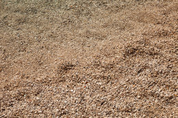 Apartmány Fontana - oblázková pláž, Podgora - Čaklje, Makarská riviéra, Chorvatsko