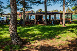 Novigrad - borovicový háj a restaurace u pláže a promenády, Istrie, Chorvatsko