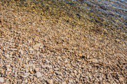 Novigrad - oblázková pláž, Istrie, Chorvatsko