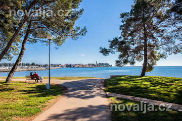Novigrad - borovicový háj u pláže a promenády, Istrie, Chorvatsko