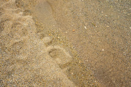 Apartmán Vinko - detail pláže, Šilo, ostrov Krk, Chorvatsko