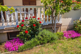 Apartmány Božur, Vlašići, ostrov Pag, Chorvatsko