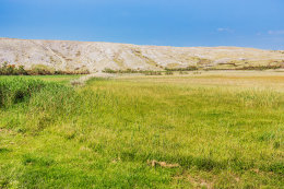 A1 - apartmány Patricija, Vlašići, ostrov Pag, Chorvatsko