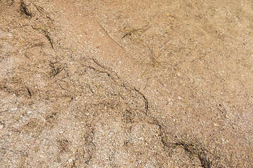 Posedarje - detail písčito-oblázkové pláže, Zadarská riviéra, Chorvatsko