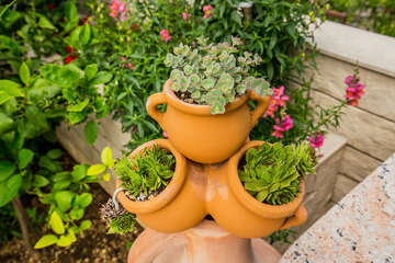 Apartmány Marćelina - okolí domu, Pisak, Omišská riviéra, Chorvatsko