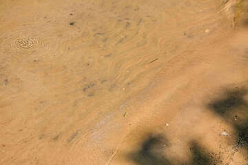 Apartmány Odorčić - písečná pláž 150 m od domu - detail, Potočnica, ostrov Pag, Chorvatsko