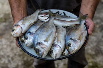 Novigrad, Zadarská riviéra, Chorvatsko