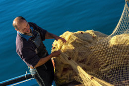 Novigrad, Zadarská riviéra, Chorvatsko