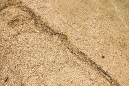 Novigrad - písčitooblázková pláž, Zadarská riviéra, Chorvatsko