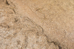 Písčitooblázková pláž, Posedarje, Zadarská riviéra, Chorvatsko