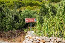 Písečná pláž Zaglav - 1 km od Milny, ostrov Vis, Chorvatsko