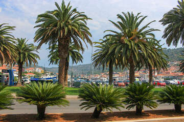 Vela Luka, ostrov Korčula, Chorvatsko