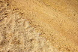 Mobilhome Maar - písečná pláž 500 m severozápadně od mobilhomů, Biograd na moru, Zadarská riviéra, Chorvatsko