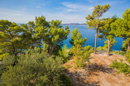 A4 - apartmány Vese, Brela, Makarská riviéra, Chorvatsko