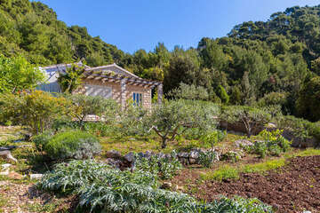 Apartmán Jih 14, jižní zátoky - ostrov Hvar, Chorvatsko