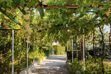 Apartmány Molly, Novi Vinodolski, Crikvenická riviéra, Chorvatsko