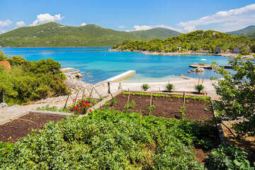 Apartmány Nektarina - zahrádka se zeleninou u domu, zátoka Kabli, Pelješac, Chorvatsko