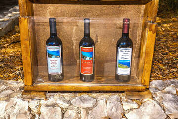 Apartmány Zorana, Dingač-Borak, poloostrov Pelješac, Chorvatsko