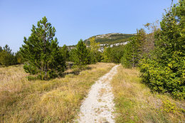Přírodní park Učka - kaňon Vela Draga, Istrie, Chorvatsko