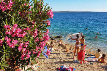 Apartmány Mandre 12 - oblázková pláž 170 m od domu, Mandre, ostrov Pag, Chorvatsko