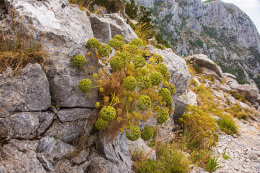 Výstup na Sv. Iliju 961 m n. m. , Gradac, Chorvatsko