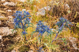 Výstup na Sv. Iliju 961 m n. m. , Gradac, Chorvatsko