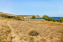 Apartmány Bendžo - cestička na písečnou FKK pláž 300 m od domu , Povljana, ostrov Pag, Chorvatsko