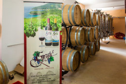 Trstenik - vinařství Grgić, poloostrov Pelješac, Chorvatsko