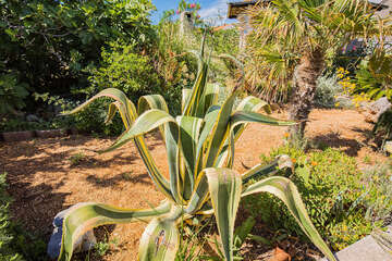 Apartmány Mira, Stará Novalja, ostrov Pag, Chorvatsko