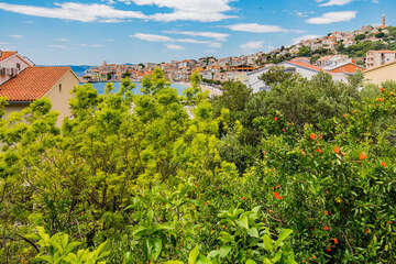 A11 - apartmány Koni, Igrane, Makarská riviéra, Chorvatsko