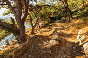 Letovisko Igrane - pěšinka k západním FKK plážím, letecký pohled, Makarská riviéra, Chorvatsko