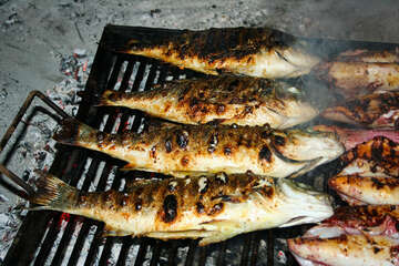 Grilované ryby - večeře v domě Ivica, Mandre, ostrov Pag, Chorvatsko
