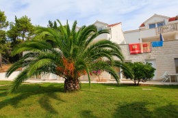 Apartmány Illyrian Resort, Milna, ostrov Brač, Chorvatsko