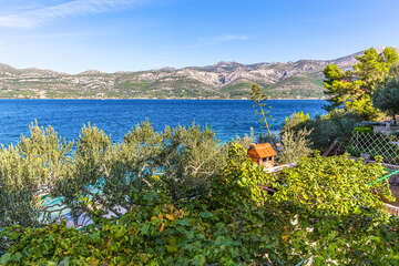 A2 - apartmány Ante, Korčula, ostrov Korčula, Chorvatsko