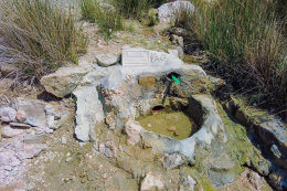Pramen sladké vody na pláži Malin, lodní výlet Pažským zálivem, ostrov Pag, Chorvatsko