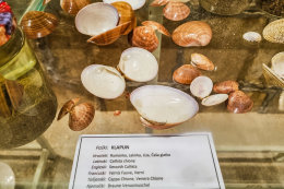 Muzeum soli v Pagu, Pag město, ostrov Pag, Chorvatsko