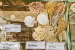 Muzeum soli v Pagu, Pag město, ostrov Pag, Chorvatsko