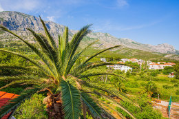 A6 - apartmány Živogošče 11, Živogošće - Blato, Makarská riviéra, Chorvatsko