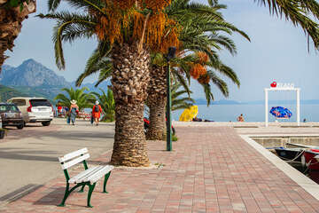 Živogošče - Blato - promenáda, Makarská riviéra, Chorvatsko