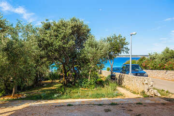 A1 - apartmány Suzana, Mandre, ostrov Pag, Chorvatsko