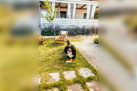 Mobilhome Mir 1 - Pakoštane, Zadarská riviéra, Chorvatsko