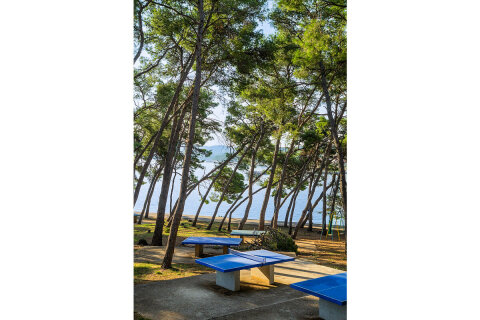Resort Zelena Punta - pingpongové stoly v lesíku u pláže, Kukljica, ostrov Ugljan, Chorvatsko