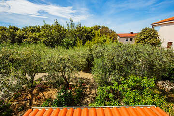 A1 - apartmány Mandre 12, Mandre, ostrov Pag, Chorvatsko