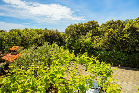 A2 - apartmány Mandre 12, Mandre, ostrov Pag, Chorvatsko