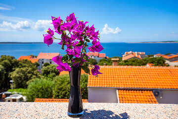 A7 - apartmány Ivica, Mandre, ostrov Pag, Chorvatsko