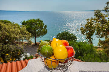 A5 - apartmány Silvano, Mandre, ostrov Pag, Chorvatsko