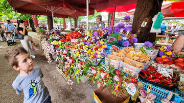 Pula - městská tržnice (otevřena denně do 13.30 hod.), Istrie, Chorvatsko