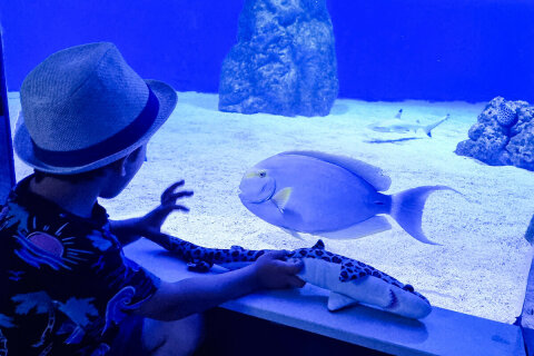 Mořské akvárium Pula, pevnost Verudela, Istrie, Chorvatsko